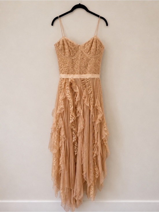 Alice + Olivia Dresses & Skirts - Alice + Olivia Floral Embroidered Sequin Mesh Maxi Gown Dress Size 2